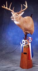 Whitetail deer taxidermy by Kentucky taxideremist John Griffith